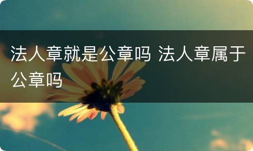 法人章就是公章吗 法人章属于公章吗