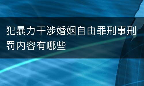 犯暴力干涉婚姻自由罪刑事刑罚内容有哪些