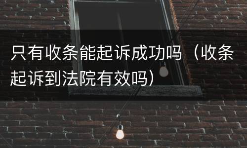 只有收条能起诉成功吗（收条起诉到法院有效吗）