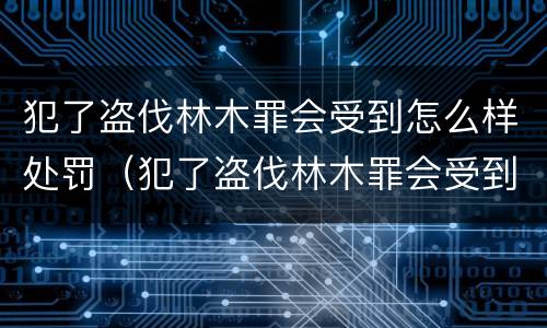 犯了盗伐林木罪会受到怎么样处罚（犯了盗伐林木罪会受到怎么样处罚呢）