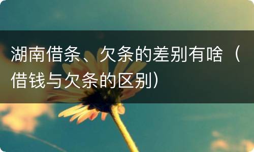 湖南借条、欠条的差别有啥（借钱与欠条的区别）