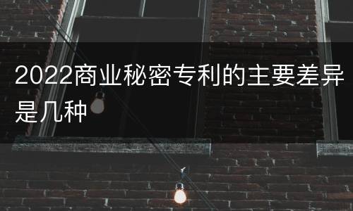 2022商业秘密专利的主要差异是几种