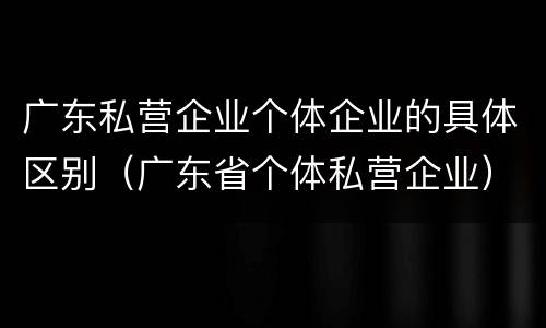 广东私营企业个体企业的具体区别(广东省个体私营企业)
