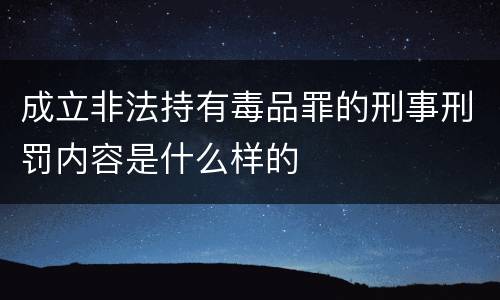 成立非法持有毒品罪的刑事刑罚内容是什么样的