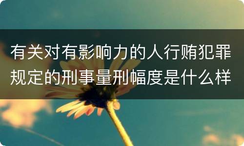 有关对有影响力的人行贿犯罪规定的刑事量刑幅度是什么样的