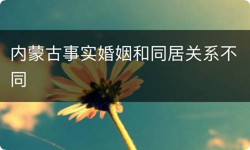 内蒙古事实婚姻和同居关系不同