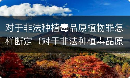 对于非法种植毒品原植物罪怎样断定（对于非法种植毒品原植物罪怎样断定罪行）