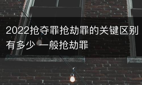 2022抢夺罪抢劫罪的关键区别有多少 一般抢劫罪