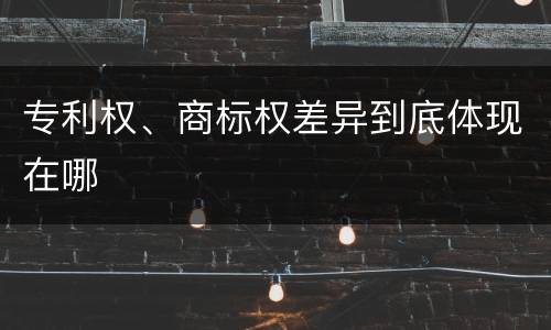 专利权、商标权差异到底体现在哪