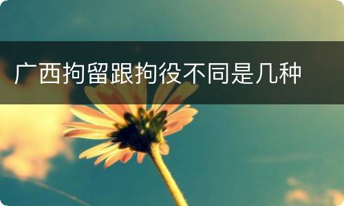 广西拘留跟拘役不同是几种