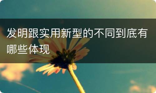 发明跟实用新型的不同到底有哪些体现