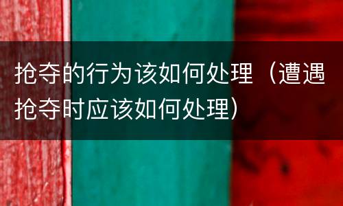 抢夺的行为该如何处理（遭遇抢夺时应该如何处理）