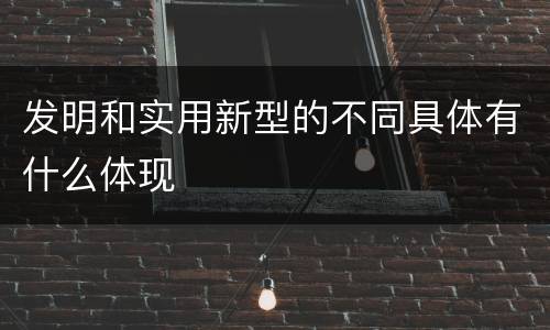 发明和实用新型的不同具体有什么体现
