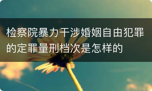 检察院暴力干涉婚姻自由犯罪的定罪量刑档次是怎样的