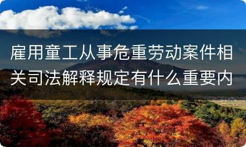 雇用童工从事危重劳动案件相关司法解释规定有什么重要内容