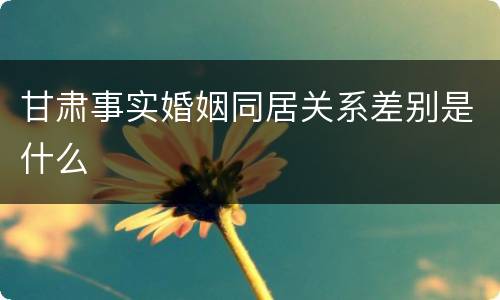 甘肃事实婚姻同居关系差别是什么