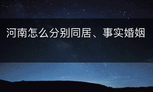 河南怎么分别同居、事实婚姻