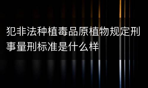 犯非法种植毒品原植物规定刑事量刑标准是什么样