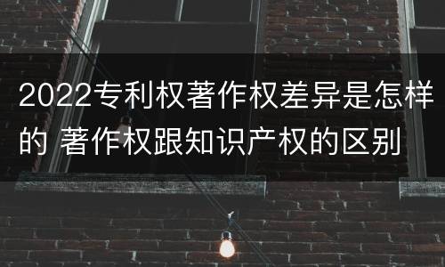 2022专利权著作权差异是怎样的 著作权跟知识产权的区别