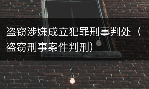 盗窃涉嫌成立犯罪刑事判处（盗窃刑事案件判刑）