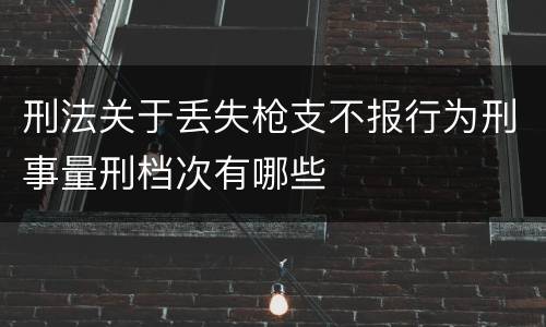 刑法关于丢失枪支不报行为刑事量刑档次有哪些