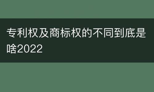 专利权及商标权的不同到底是啥2022