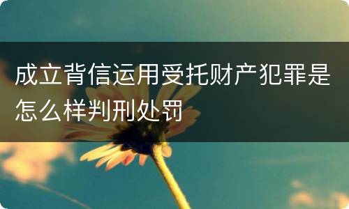 成立背信运用受托财产犯罪是怎么样判刑处罚