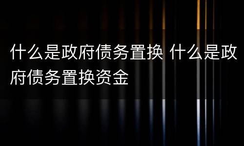 什么是政府债务置换 什么是政府债务置换资金