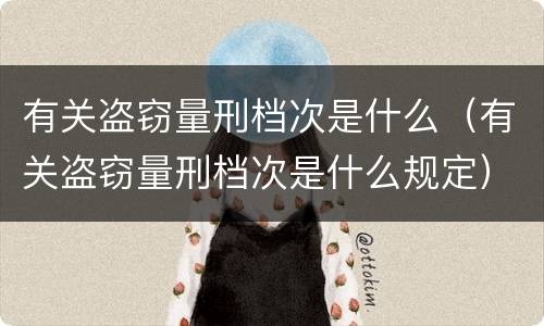 有关盗窃量刑档次是什么（有关盗窃量刑档次是什么规定）