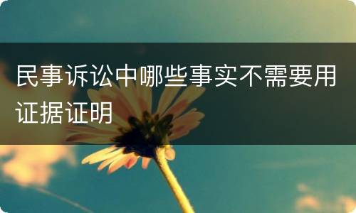 民事诉讼中哪些事实不需要用证据证明