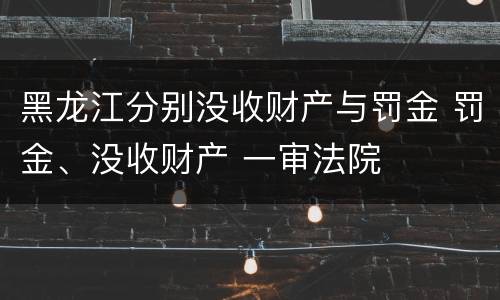 黑龙江分别没收财产与罚金 罚金、没收财产 一审法院