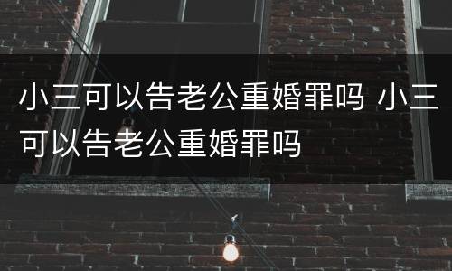 小三可以告老公重婚罪吗 小三可以告老公重婚罪吗