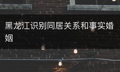 黑龙江识别同居关系和事实婚姻