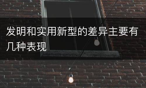 发明和实用新型的差异主要有几种表现