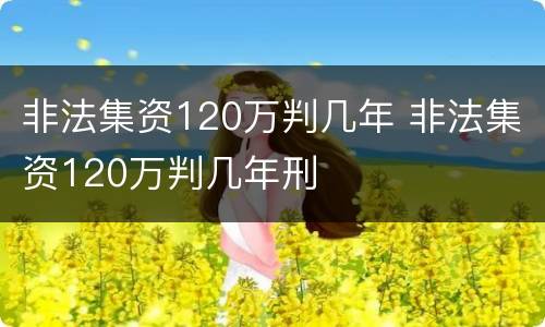 非法集资120万判几年 非法集资120万判几年刑