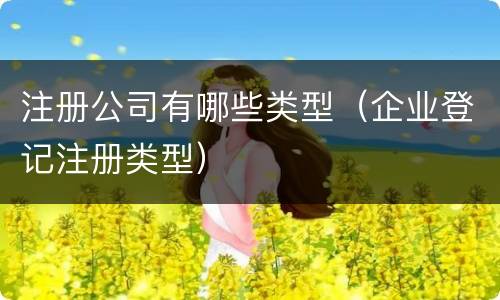 注册公司有哪些类型（企业登记注册类型）