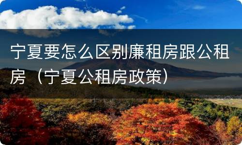 宁夏要怎么区别廉租房跟公租房（宁夏公租房政策）