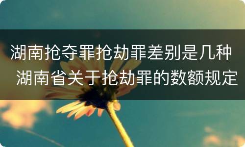 湖南抢夺罪抢劫罪差别是几种 湖南省关于抢劫罪的数额规定