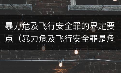 暴力危及飞行安全罪的界定要点（暴力危及飞行安全罪是危险犯吗）