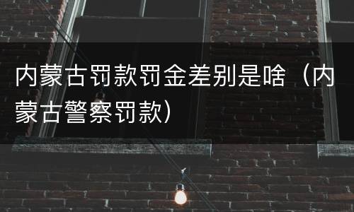 内蒙古罚款罚金差别是啥（内蒙古警察罚款）