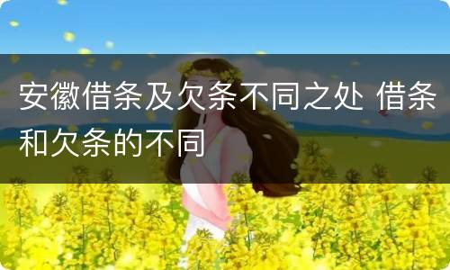 安徽借条及欠条不同之处 借条和欠条的不同