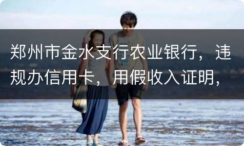 郑州市金水支行农业银行，违规办信用卡，用假收入证明，假行车证，没面签，办信用卡，