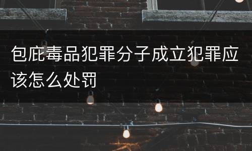 包庇毒品犯罪分子成立犯罪应该怎么处罚