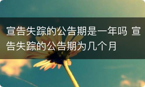 宣告失踪的公告期是一年吗 宣告失踪的公告期为几个月