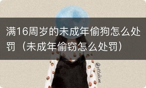 满16周岁的未成年偷狗怎么处罚（未成年偷窃怎么处罚）