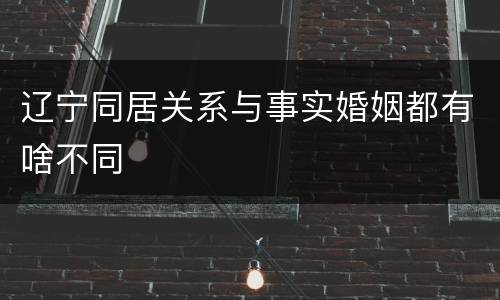 辽宁同居关系与事实婚姻都有啥不同
