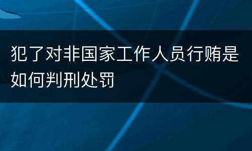 犯了对非国家工作人员行贿是如何判刑处罚