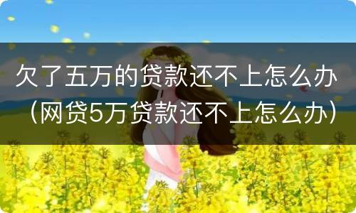 欠了五万的贷款还不上怎么办（网贷5万贷款还不上怎么办）