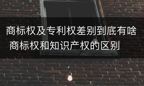 商标权及专利权差别到底有啥 商标权和知识产权的区别
