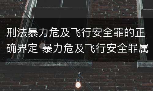 刑法暴力危及飞行安全罪的正确界定 暴力危及飞行安全罪属于